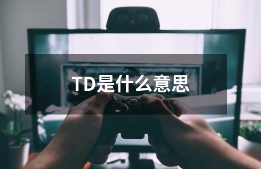 TD是什么意思-第1张-游戏资讯-龙启科技