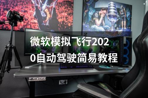 微软模拟飞行2020自动驾驶简易教程-第1张-游戏资讯-龙启科技