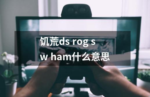 饥荒ds rog sw ham什么意思-第1张-游戏资讯-龙启科技