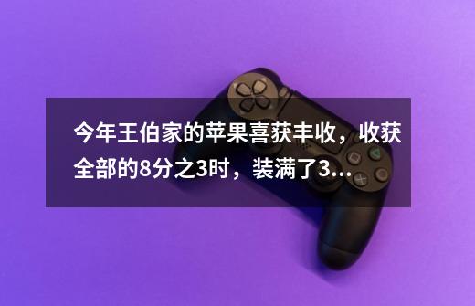 今年王伯家的苹果喜获丰收，收获全部的8分之3时，装满了3袋还多24千克，收完其余部分时，又刚好装6-第1张-游戏资讯-龙启科技