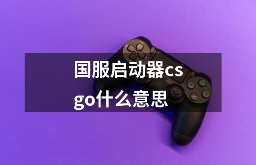 国服启动器csgo什么意思-第1张-游戏资讯-龙启科技