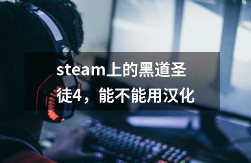 steam上的黑道圣徒4，能不能用汉化-第1张-游戏资讯-龙启科技