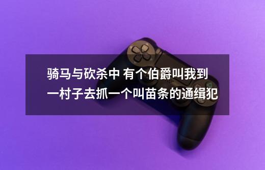 骑马与砍杀中 有个伯爵叫我到一村子去抓一个叫苗条的通缉犯-第1张-游戏资讯-龙启科技