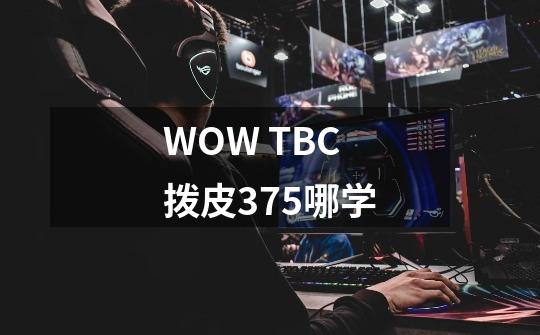 WOW TBC 拨皮375哪学-第1张-游戏资讯-龙启科技