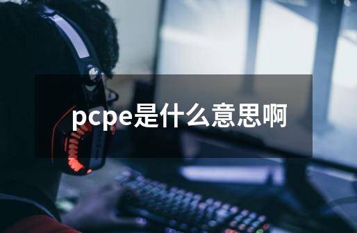 pcpe是什么意思啊-第1张-游戏资讯-龙启科技