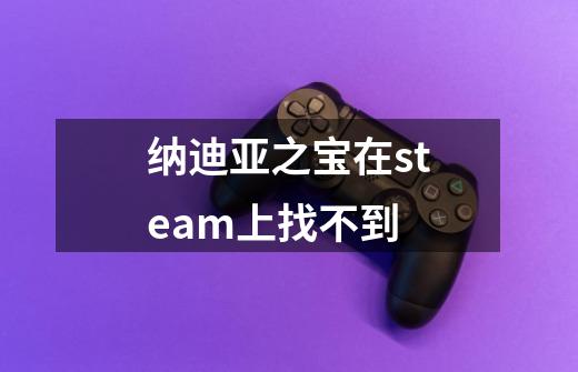 纳迪亚之宝在steam上找不到-第1张-游戏资讯-龙启科技