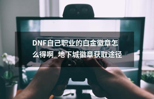 DNF自己职业的白金徽章怎么得啊?_地下城徽章获取途径-第1张-游戏资讯-龙启科技