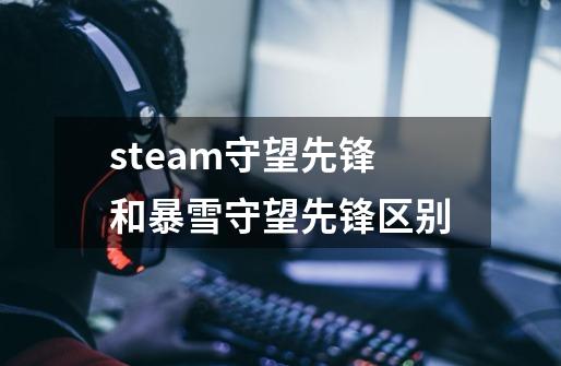 steam守望先锋和暴雪守望先锋区别-第1张-游戏资讯-龙启科技