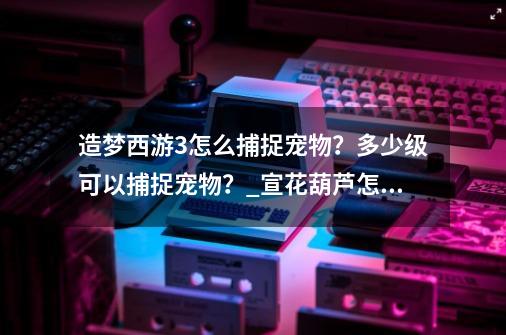 造梦西游3怎么捕捉宠物？多少级可以捕捉宠物？_宣花葫芦怎么捕捉宠物-第1张-游戏资讯-龙启科技