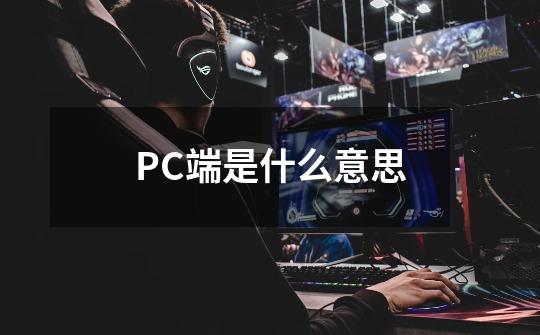 PC端是什么意思-第1张-游戏资讯-龙启科技