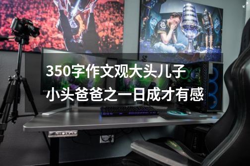 350字作文观大头儿子小头爸爸之一日成才有感-第1张-游戏资讯-龙启科技