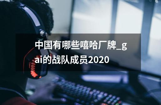 中国有哪些嘻哈厂牌_gai的战队成员2020-第1张-游戏资讯-龙启科技