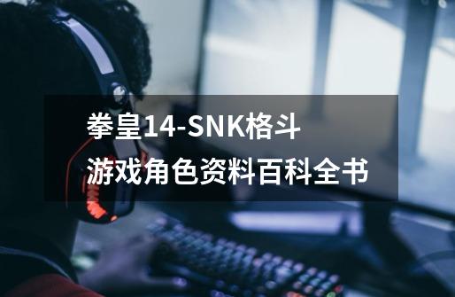 拳皇14-SNK格斗游戏角色资料百科全书-第1张-游戏资讯-龙启科技