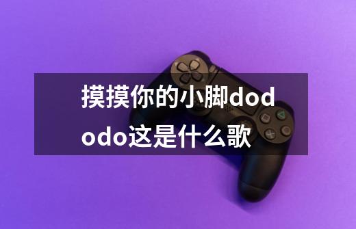 摸摸你的小脚dododo这是什么歌-第1张-游戏资讯-龙启科技