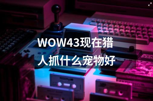 WOW4.3现在猎人抓什么宠物好-第1张-游戏资讯-龙启科技