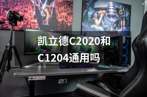 凯立德C2020和C1204通用吗-第1张-游戏资讯-龙启科技