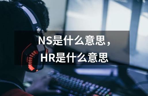 NS是什么意思， HR是什么意思-第1张-游戏资讯-龙启科技