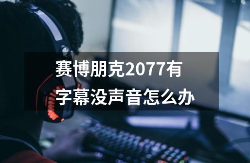 赛博朋克2077有字幕没声音怎么办-第1张-游戏资讯-龙启科技