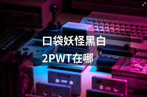 口袋妖怪黑白2PWT在哪-第1张-游戏资讯-龙启科技