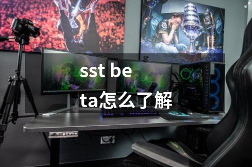 sst beta怎么了解-第1张-游戏资讯-龙启科技