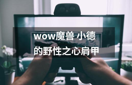 wow魔兽 小德的野性之心肩甲-第1张-游戏资讯-龙启科技