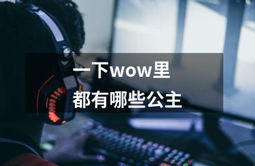 一下wow里都有哪些公主-第1张-游戏资讯-龙启科技