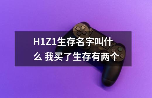 H1Z1生存名字叫什么 我买了生存有两个-第1张-游戏资讯-龙启科技