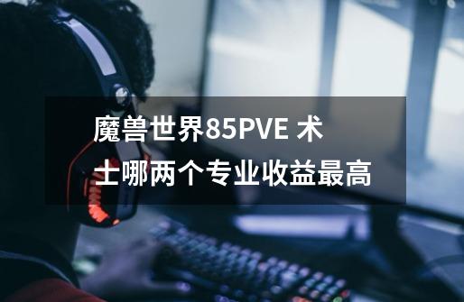 魔兽世界85PVE 术士哪两个专业收益最高-第1张-游戏资讯-龙启科技