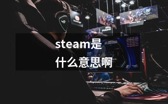 steam是什么意思啊-第1张-游戏资讯-龙启科技