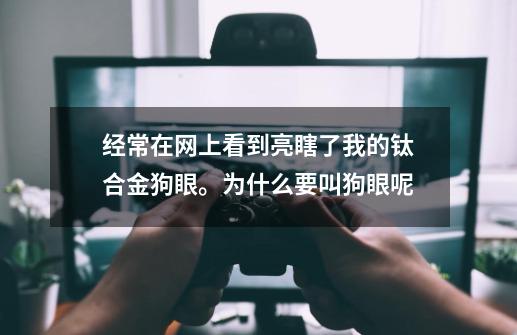 经常在网上看到亮瞎了我的钛合金狗眼。为什么要叫狗眼呢-第1张-游戏资讯-龙启科技