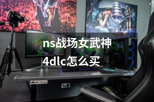 ns战场女武神4dlc怎么买-第1张-游戏资讯-龙启科技