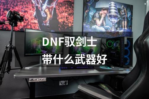 DNF驭剑士带什么武器好-第1张-游戏资讯-龙启科技