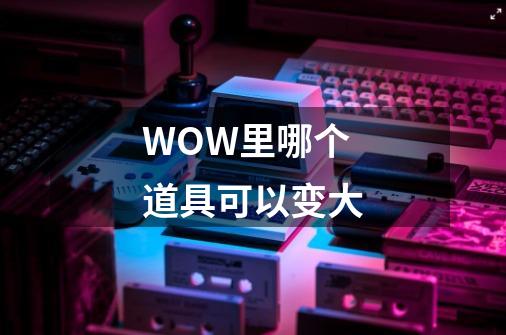 WOW里哪个道具可以变大-第1张-游戏资讯-龙启科技