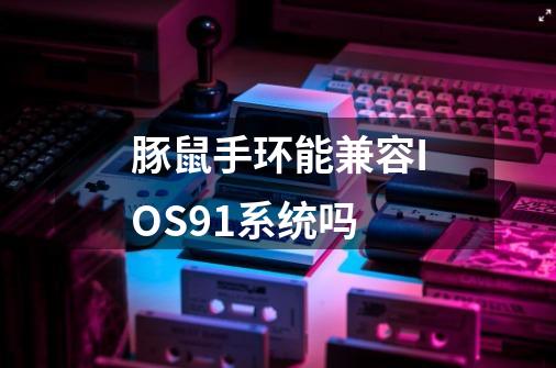 豚鼠手环能兼容IOS9.1系统吗-第1张-游戏资讯-龙启科技