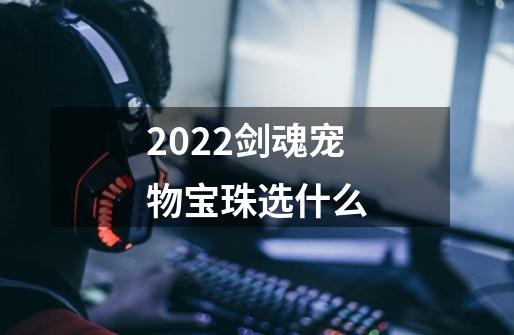 2022剑魂宠物宝珠选什么-第1张-游戏资讯-龙启科技