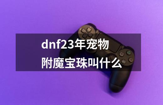 dnf23年宠物附魔宝珠叫什么-第1张-游戏资讯-龙启科技