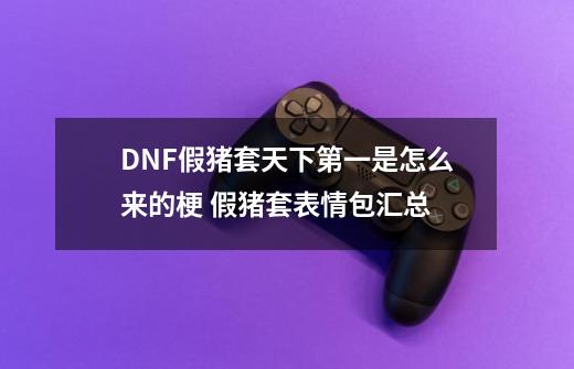 DNF假猪套天下第一是怎么来的梗 假猪套表情包汇总-第1张-游戏资讯-龙启科技