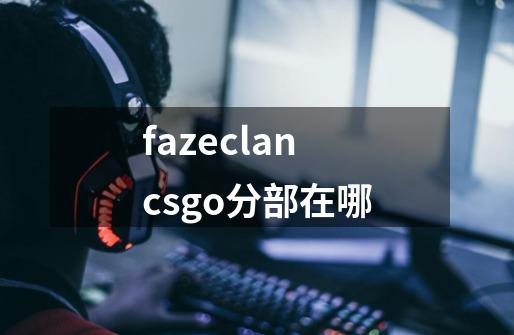 fazeclancsgo分部在哪-第1张-游戏资讯-龙启科技