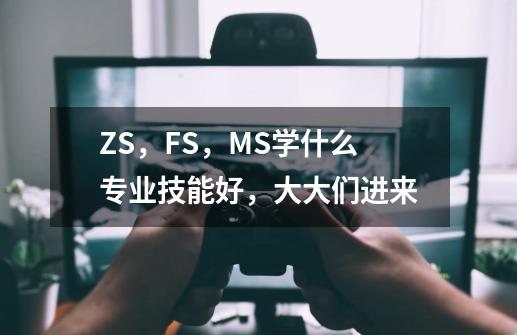 ZS，FS，MS学什么专业技能好，大大们进来-第1张-游戏资讯-龙启科技