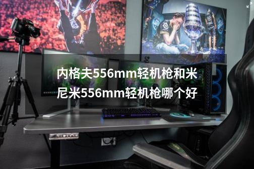 内格夫5.56mm轻机枪和米尼米5.56mm轻机枪哪个好-第1张-游戏资讯-龙启科技