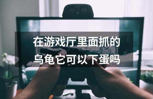 在游戏厅里面抓的乌龟它可以下蛋吗-第1张-游戏资讯-龙启科技