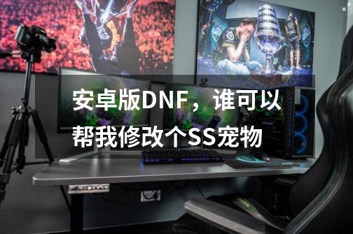 安卓版DNF，谁可以帮我修改个SS宠物-第1张-游戏资讯-龙启科技