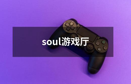 soul游戏厅-第1张-游戏资讯-龙启科技