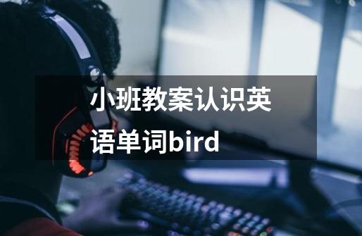 小班教案认识英语单词bird-第1张-游戏资讯-龙启科技