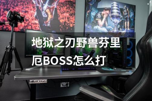 地狱之刃野兽芬里厄BOSS怎么打-第1张-游戏资讯-龙启科技