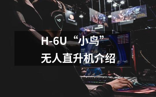 H-6U“小鸟”无人直升机介绍-第1张-游戏资讯-龙启科技