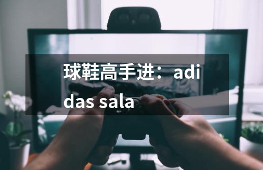 球鞋高手进：adidas sala-第1张-游戏资讯-龙启科技