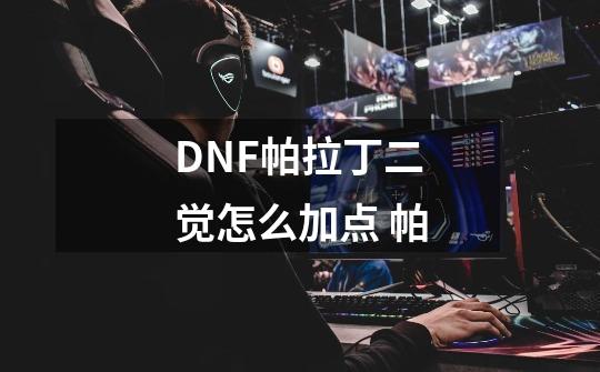 DNF帕拉丁二觉怎么加点 帕-第1张-游戏资讯-龙启科技