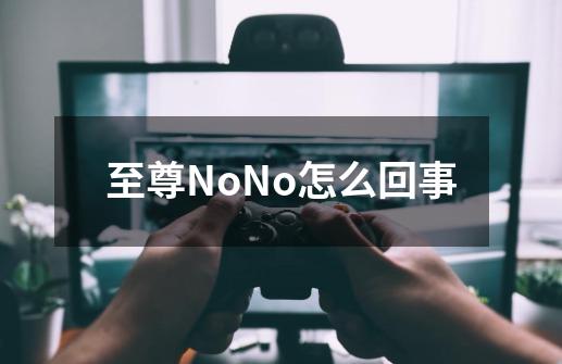 至尊NoNo怎么回事-第1张-游戏资讯-龙启科技