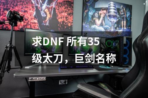 求DNF 所有35级太刀，巨剑名称-第1张-游戏资讯-龙启科技